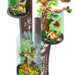 AquaMantle' Trio