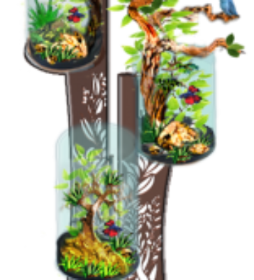 AquaMantle' Trio